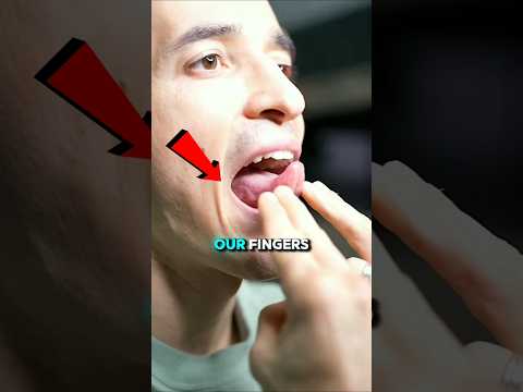 How To Whistle