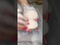 Part 2. Asmr soap🤤🫧🧼 #asmrsoap #soapcutting #soap #limpeza