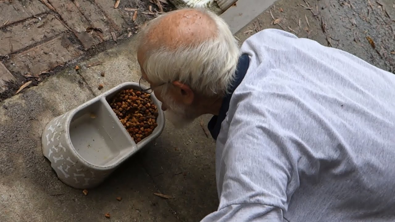 GRANDPA EATS DOG FOOD!! YouTube