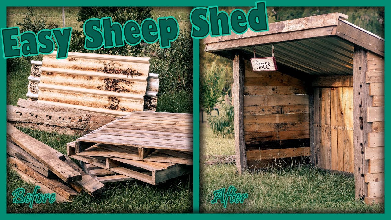 How to Build a Sheep Shelter - Easy Animal Shed - YouTube
