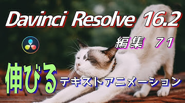 【DaVinci Resolve 16】 DaVinci Resolve 16.2 無料版の使い方 編集71 (伸びる文字・テキストアニメーション) 【解説】