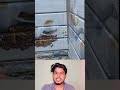 कॉर्नर टाइल लगाने का सही तरीका