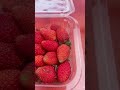 Stawberry smoothie#healthy#summerdrink#milkshake#stawberry#drink#healthylifestyle