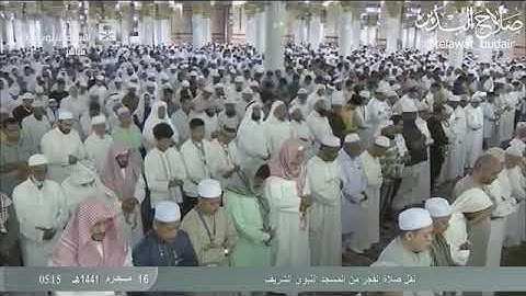 تلاوة من صلاة الفجر ١٦ محرم ١٤٤١هـ بالمسجد النبوي لفضيلة الشيخ د صلاح بن محمد البدير
