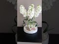 contemporary flower arrangement