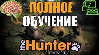 Свежее Обучение От Lan Gaisi Для The Hunter Classic