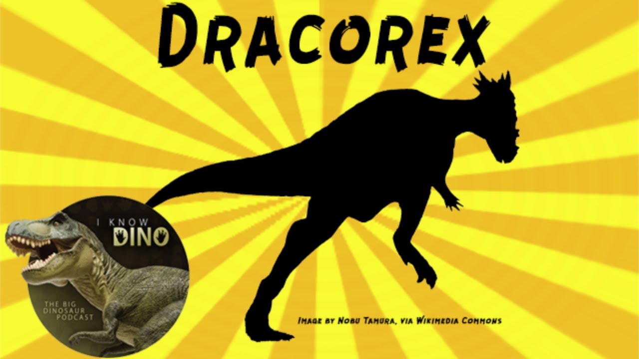 Dracorex Dinosaur Of The Day Youtube 