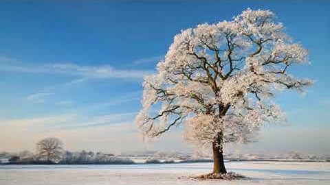 Richard Clayderman - Love song in winter (Winter Sonata)