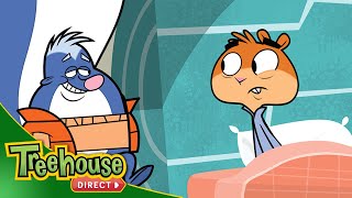 Scaredy Squirrel - Sticky Situation / Cowlicked | Full Episode | Treehouse Direct