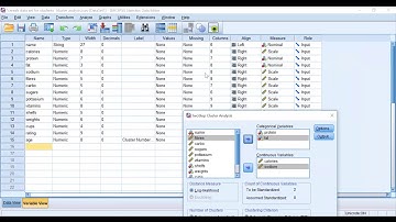 How to conduct and interpret two step cluster analysis on SPSS