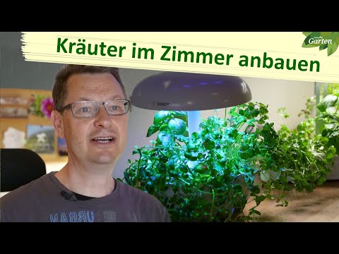 Video: Tipps für den Indoor-Anbau von Schnittlauch