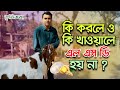 LSD রোগ থেকে বাঁচার উপায় এবং হলে যা করবেন । How to Avoid LSD, Lessons for Other Farmers । কৃষিকথা