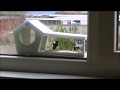 Кормушка на окно, пернатые гости