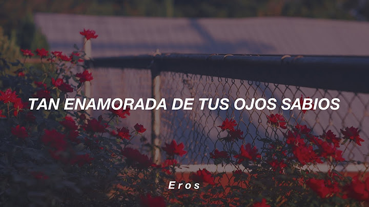 babi - colegas (Letra)
