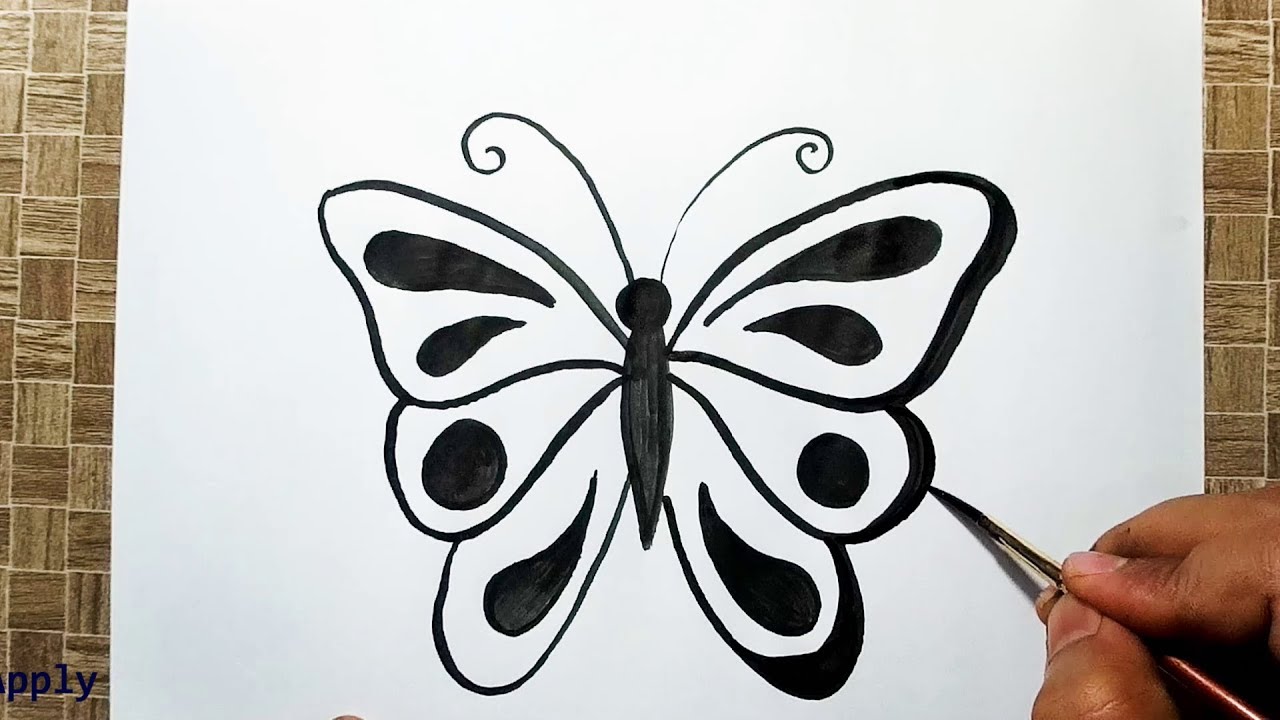 Simple Butterfly Drawing