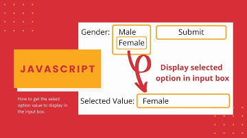 How to get Selected option value from Dropdown menu using JavaScript | Hindi