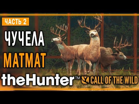 Видео: theHunter Call of the Wild #2 🦌 - Белохвостое Cтaдo - Композиции из Чучел