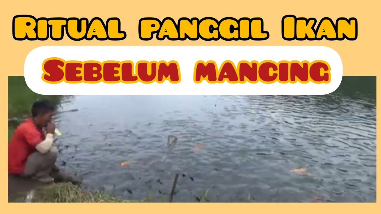 Cara Unik Memanggil Ikan   . STARMON Channel