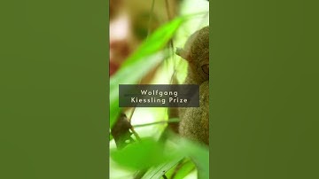 Top 10 Flexible and Unrestricted Project Funding Opportunities