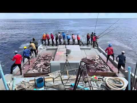 FISHING | POLEANDLINE | MALDIVES