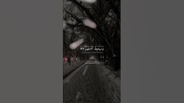 (اطيعوا الله واطيعوا الرسول) | سورة محمد ٣٢-٣٣ | Surah Muhammad 32-33 | ياسر الدوسري | Yasser Dosary