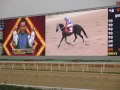 16コリアカップ本馬場入場
