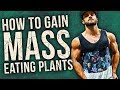 How To Gain MASS On A Vegan Diet