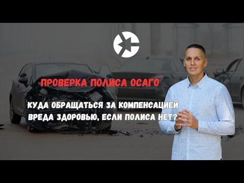 Проверка полиса ОСАГО: как узнать, есть ли у виновника ДТП страховка