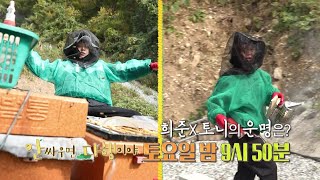 [안싸우면 다행이야 선공개] 양봉장에서 생긴 일! 희준X토니의 운명은?