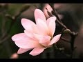 Р РѕР С рџ Fortunes Рерники Ukr Р РѕР С рџ Fortunes Рерники Ukr
