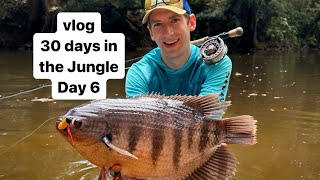 vlog Day 6 - 30 days in the Jungle - fly fishing for Red Kaloi in Borneo
