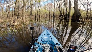 I Couldn't Believe What I Saw While Kayak Fishing Deep in the Swamp | Stay Hooked