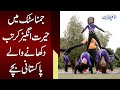 Gymnastic Mein Herat Angez Kartab Dikhane Wale Pakistani Bachay