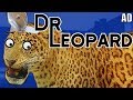 Dr Leopard