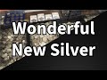 Great coin shop visits and new coin shop footage   silver stacking week 62