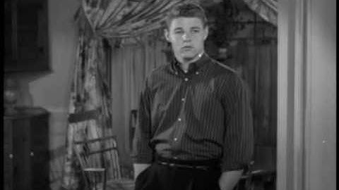 Ricky Nelson～A Teenager's Romance