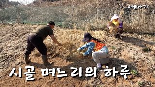 [며눌아기] 마늘인줄 알고 잡았는데 엄청큰 개구리였다