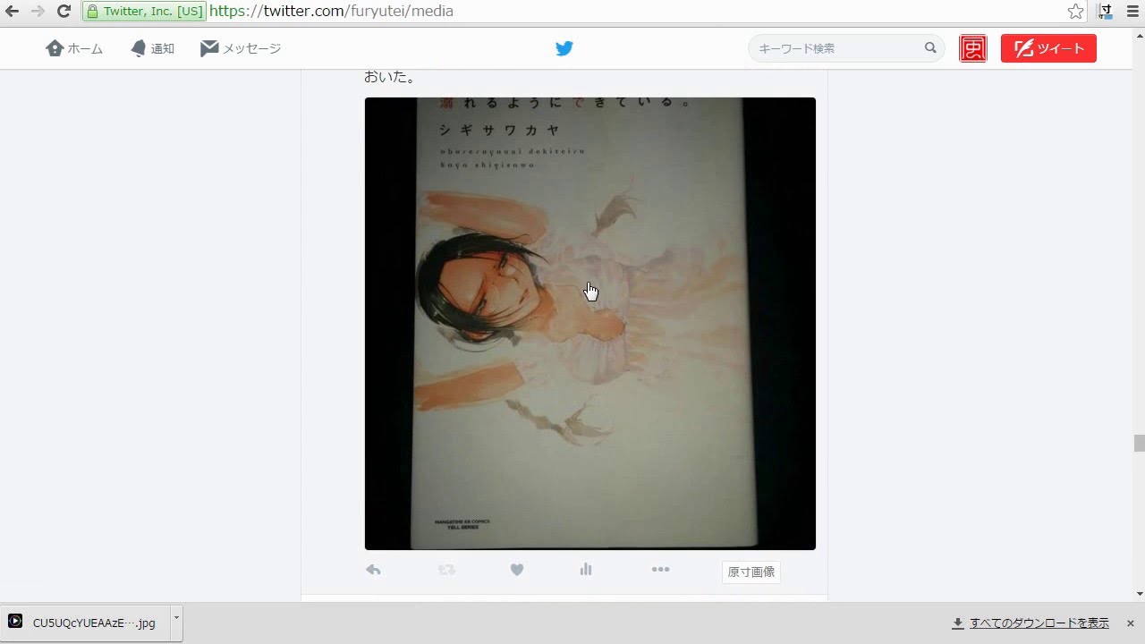 Twitter 原寸びゅー 原寸画像を開く拡張機能 ユーザースクリプト Pc用google Chrome Firefox Opera等対応 風柳メモ