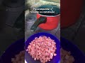 #comidacasera #fogaodelenha #inscritos #roçaminhapaixão #rancheira