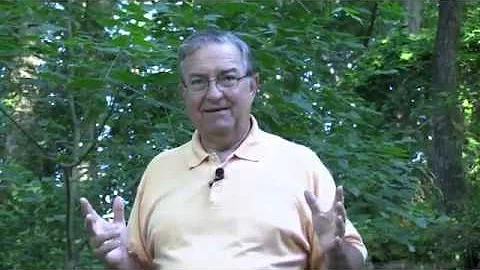 Mastering the Secret of the Patient, Disciplined T...
