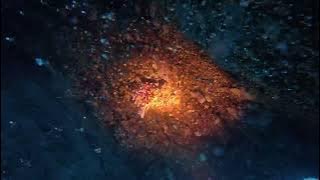 BUCEO PLAYA CHICA 28 05 25mp4