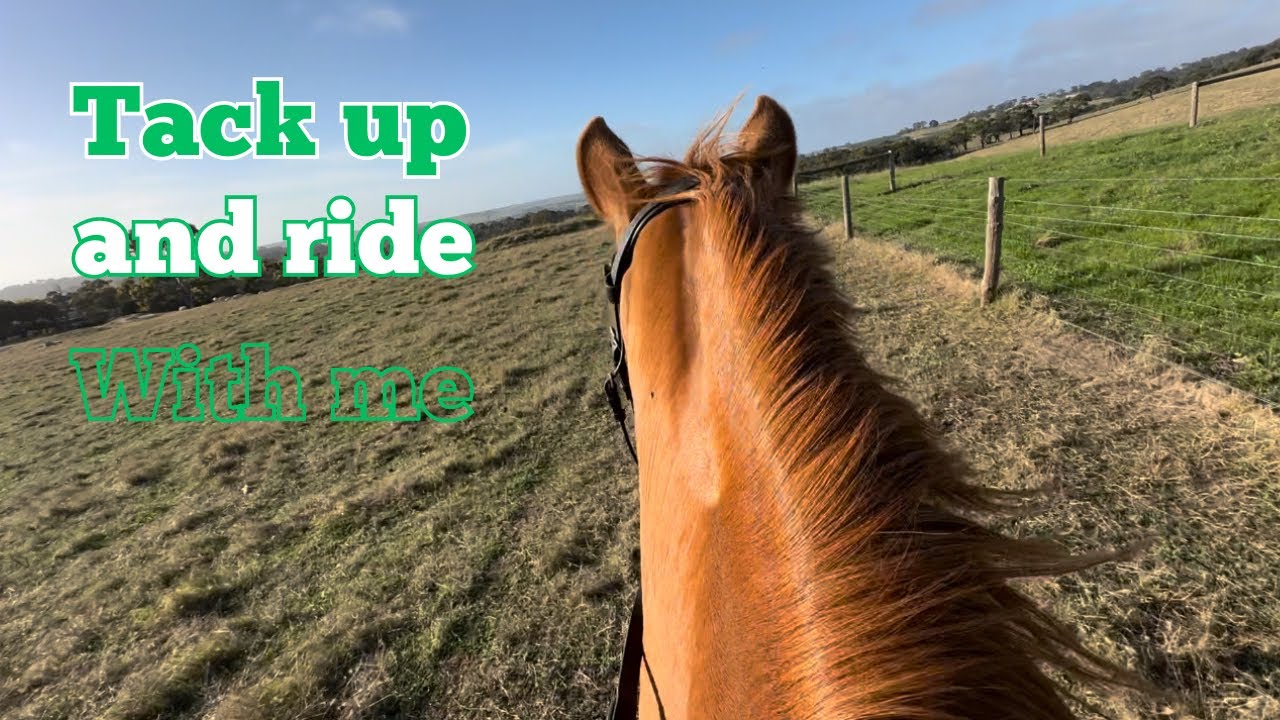 Tack up and ride with me // vlog 29 - YouTube