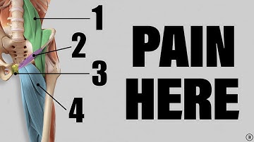 Groin Pain Rehab | Adductor Strain / Pull (Education | Myths | Stretches & Strengthening Exercises)