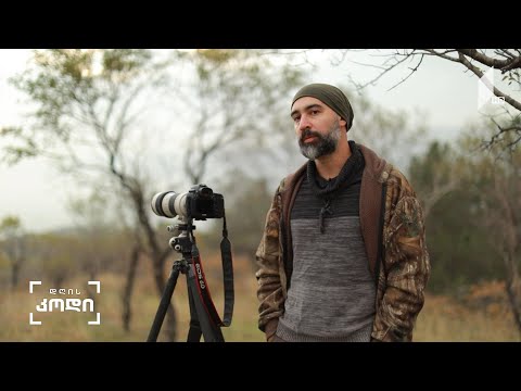 #დღისკოდი სიჩუმის ძებნა ცხოვრებასა და პროფესიაში, კინოდოკუმენტალისტი ნიკა წიკლაური