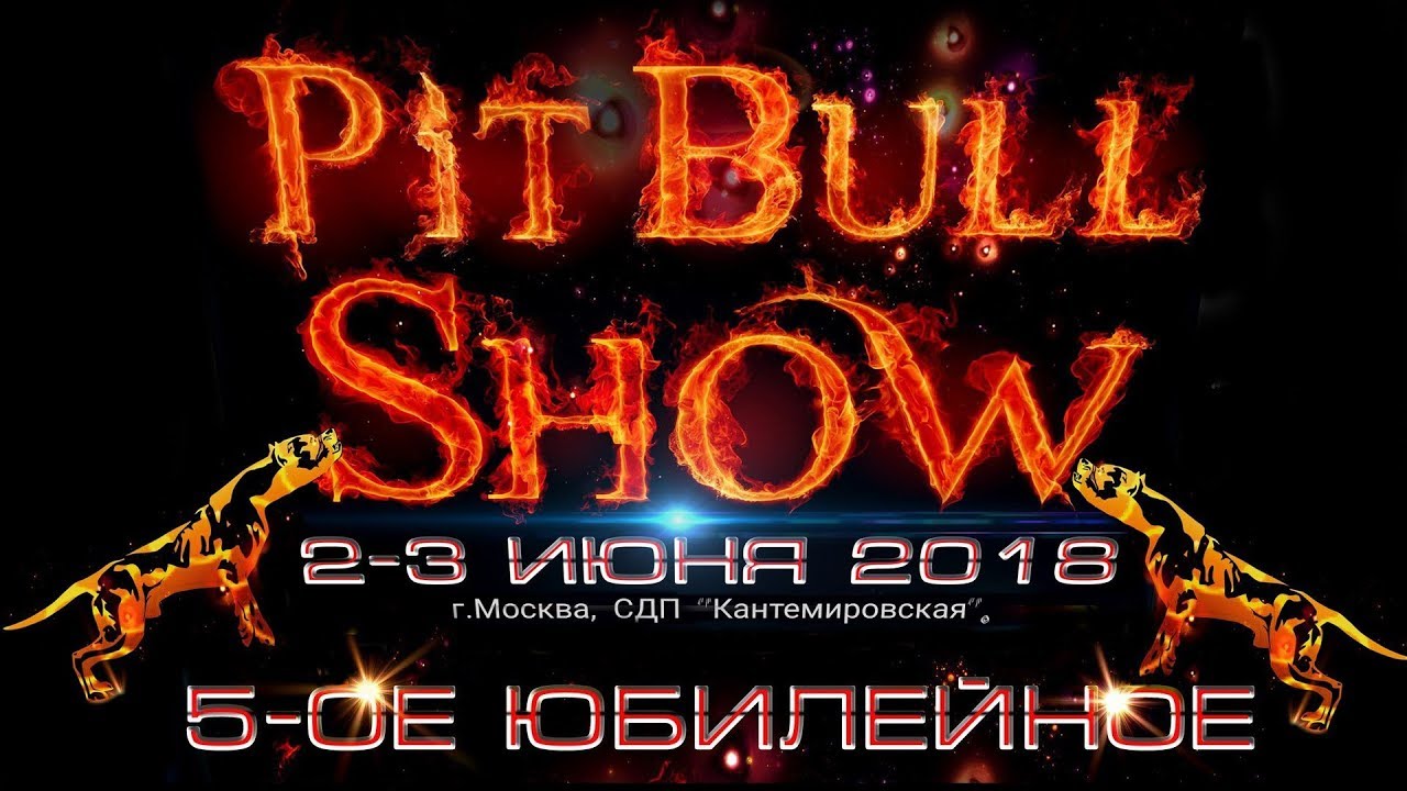 ⁣Pitbull Show Moscow 2018г. апбт. американский питбультерьер, американский стаффордширский терьер.