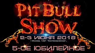 Pitbull Show Moscow 2018г. апбт. американский питбультерьер, американский стаффордширский терьер. Pitbull Show Moscow 2018г. апбт. американский питбультерьер, американский стаффордширский терьер.