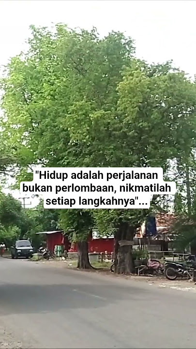 Hidup adalah perjalanan bukan perlombaan... #quotes #motivation #shortvideo #storywa
