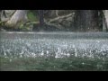 Capture de la vidéo Canon Cancrizans /  Samuel Scheidt