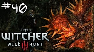 Spirit Tree Thing - The Witcher 3 Wild Hunt PC Playthrough Part 40