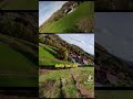 Drohnen Battle. #drone #fpv #dji #djineo #djiavata2 #djiairunit #fpvdrone #oben #fun